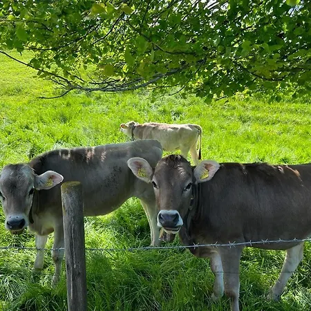Fischer Am 3* Füssen