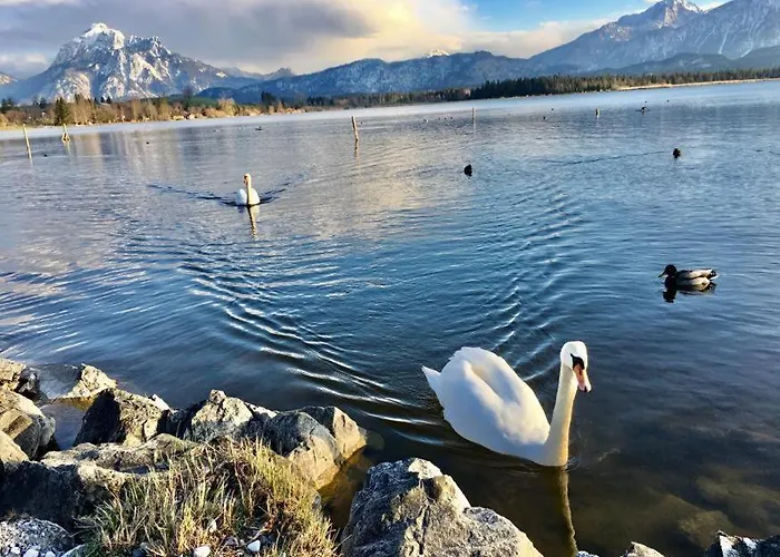 Fischer Am 3* Füssen